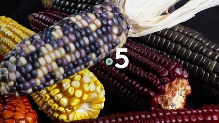 [BA] Cuisine mexicaine, ça ne manque pas de piquant ! - 06/12/2022