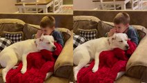Kid enjoys Velvet dog ears while relaxing on sofa and find them comfier than soft blanket