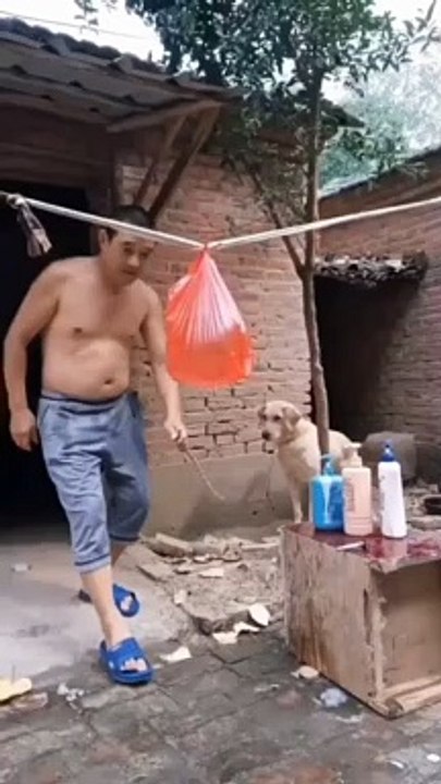 Funny videos | Prank video | video lucu | funny moments