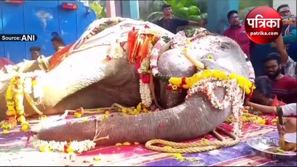 पुडुचेरी: 32 साल के हाथी का हुआ निधन, उपराज्यपाल सहित अन्य लोगों ने दी श्रद्धांजलि; देखे वीडियो