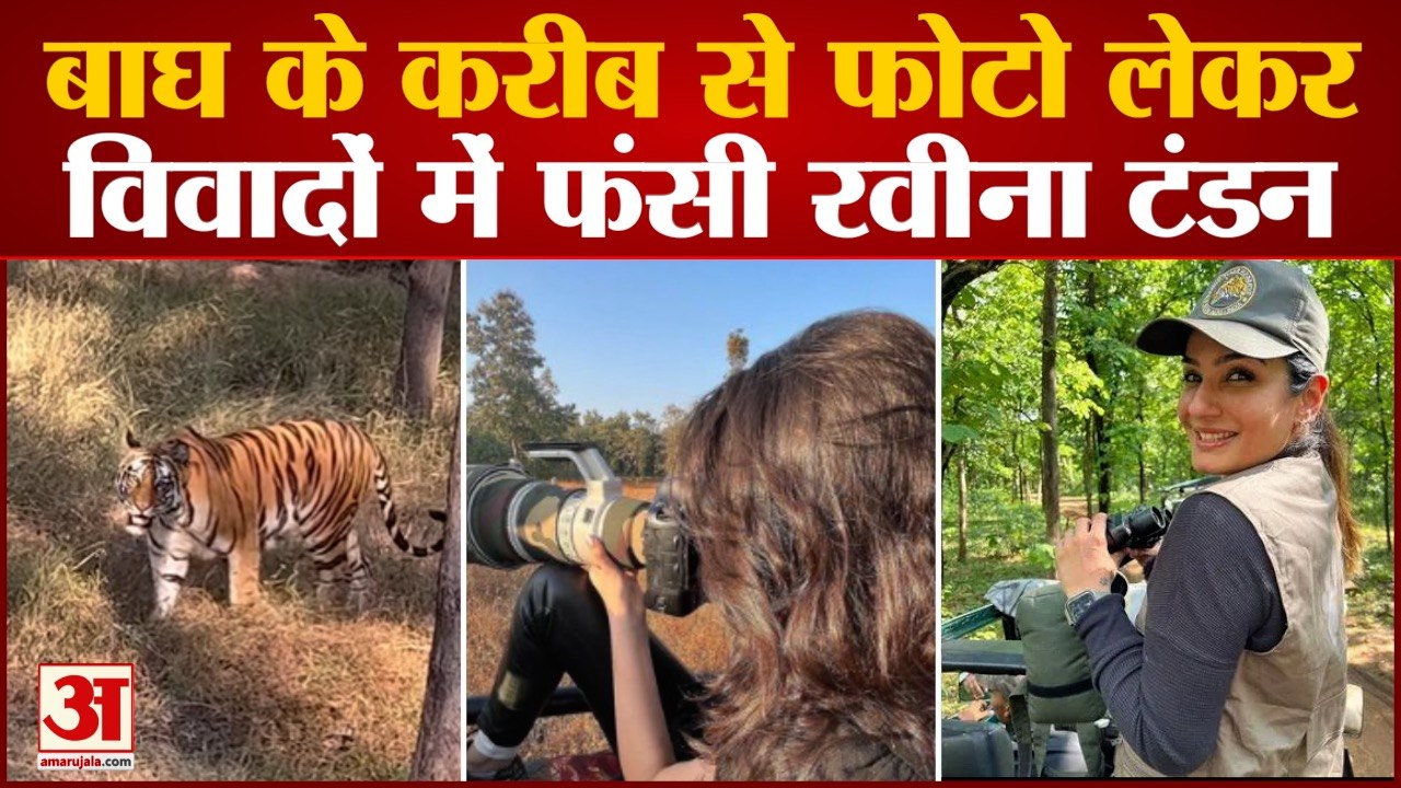 Madhya Pradesh:Satpura Tiger Reserve में करीब से बाघ की फोटो लेने पर विवादों में फंसी Raveena Tandon