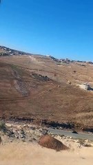 قطيع من الأغنام تدور حول نفسها بالأردن