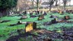 Vandals attack graves in County Durham cemetery