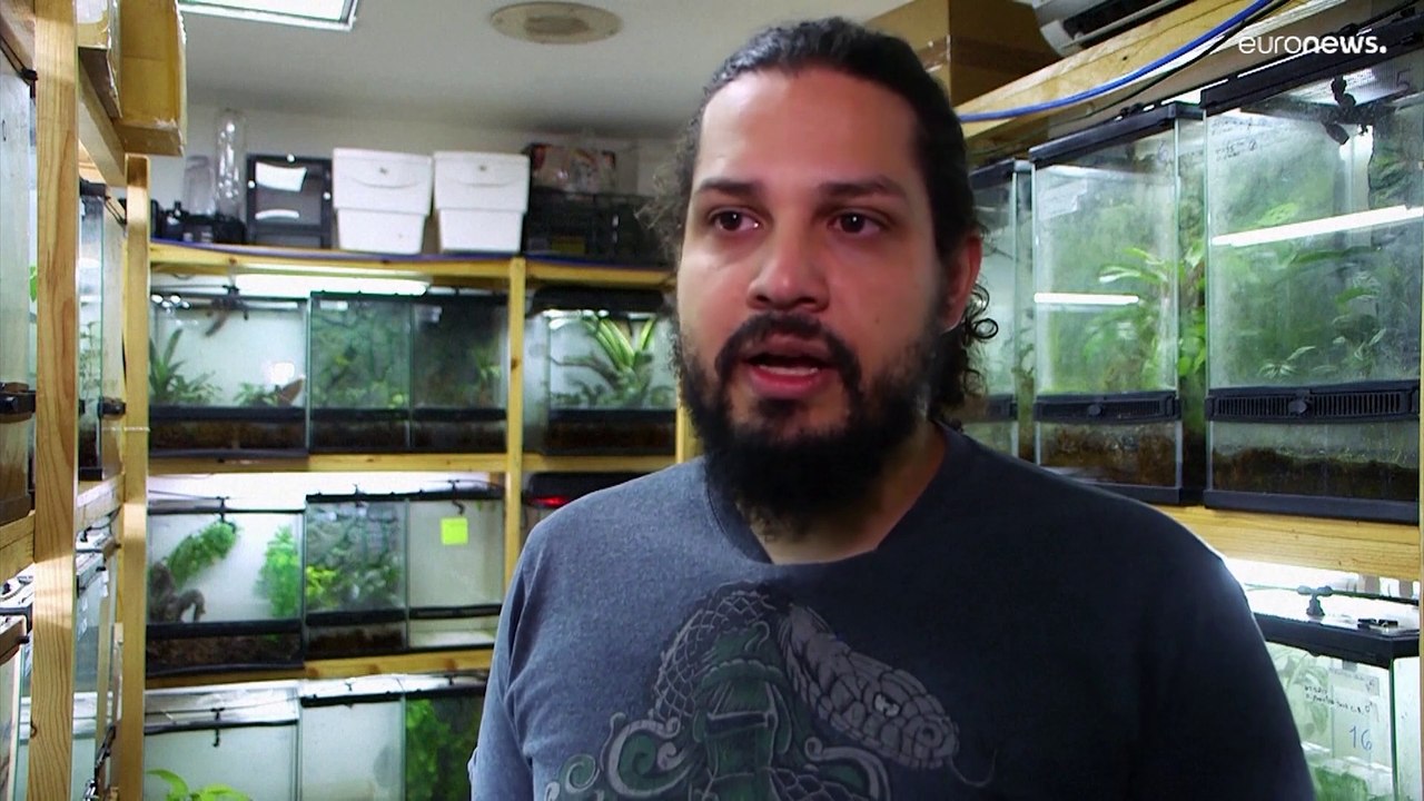 Se refuerza la protección de 54 especies de tiburones contra el comercio ilegal