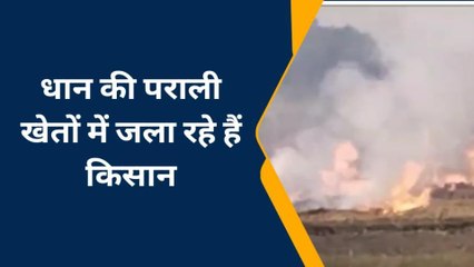 प्रयागराज: पराली जलाने वाले किसान हों जाएं सावधान, अब वसूला जाएगा भारी भरकम जुर्माना