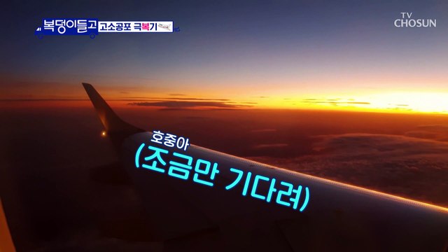 호중이의 고소공포 극복은 기내식 쌈밥 한상으로 TV CHOSUN 221130 방송