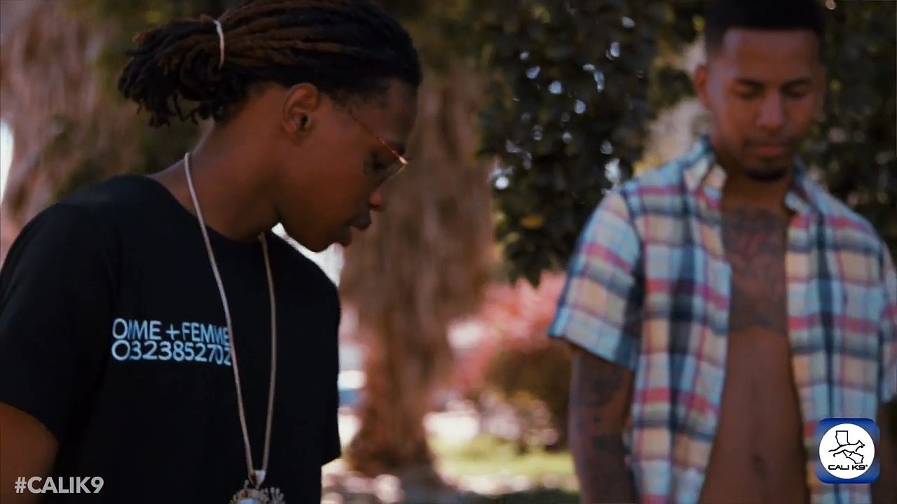 Modern Dog Training - Advanced Leadership System Cali K9® Dog Trainers