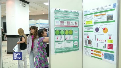 Jornadas Investigar 2022