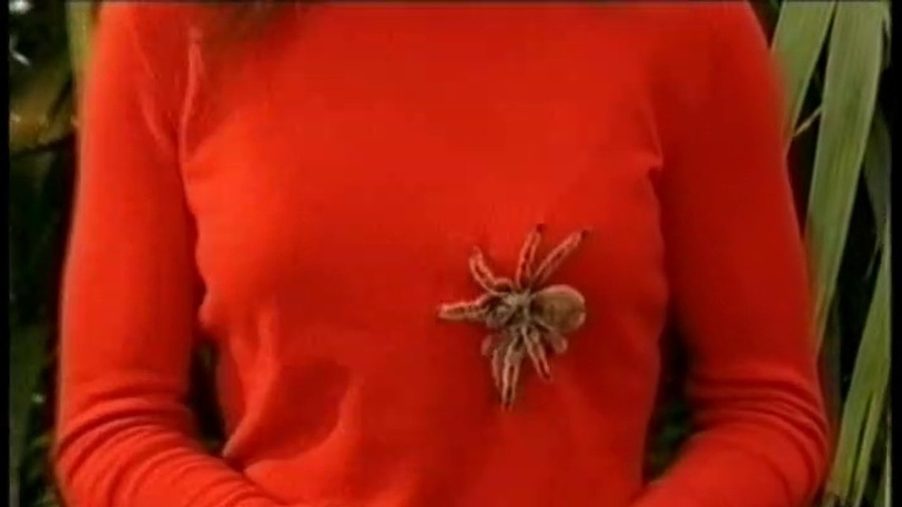 It'll be Alright on the Night (1977) S01E24 - Alright on the Night's All Star Special