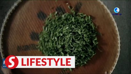 Secret of making China's West Lake Longjing tea