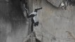 Banksy refait surface en Ukraine au milieu des ruines d'immeubles