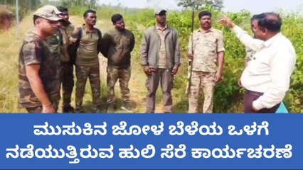 ಗುಂಡ್ಲುಪೇಟೆ; ಬಂಡೀಪುರ ಅಭಯಾರಣ್ಯದಲ್ಲಿ ಭರದಿಂದ ಸಾಗಿದ ಹುಲಿ ಸೆರೆ ಕಾರ್ಯಾಚರಣೆ