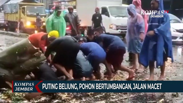 Diterjang Puting Beliung, Pohon Bertumbangan, 23 Rumah Rusak