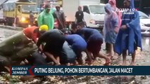 Diterjang Puting Beliung, Pohon Bertumbangan, 23 Rumah Rusak