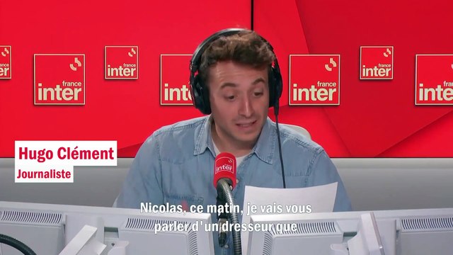 Le journaliste Hugo Clément porte de graves accusations contre le plus gros dresseurs d'animaux du cinéma français : Il a défiguré un singe à coups de poings, un ourson s'est évanoui sous la violence des coups