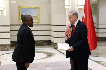 Download Video: Zambiya Büyükelçisi Sikazwe, Cumhurbaşkanı Erdoğan'a güven mektubu sundu