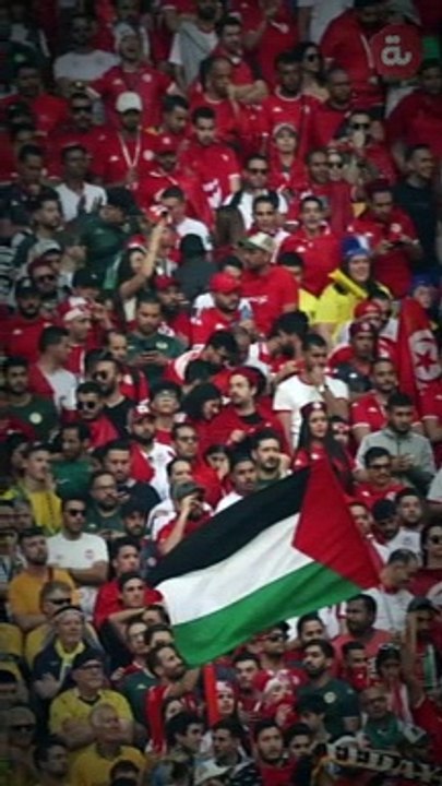 فلسطين مشاركة في كأس العالم