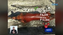 Lechon sa ilang lugar, mahal na o may nakaambang taas-presyo | Saksi