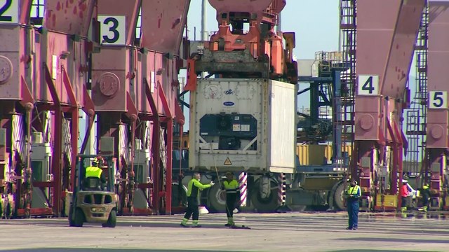 Puertos del Estado pide alinear el desarrollo de infraestructuras ferroviarias con portuarias