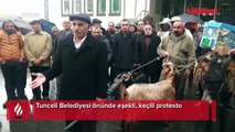 Tunceli Belediyesi önünde eşekli, keçili protesto