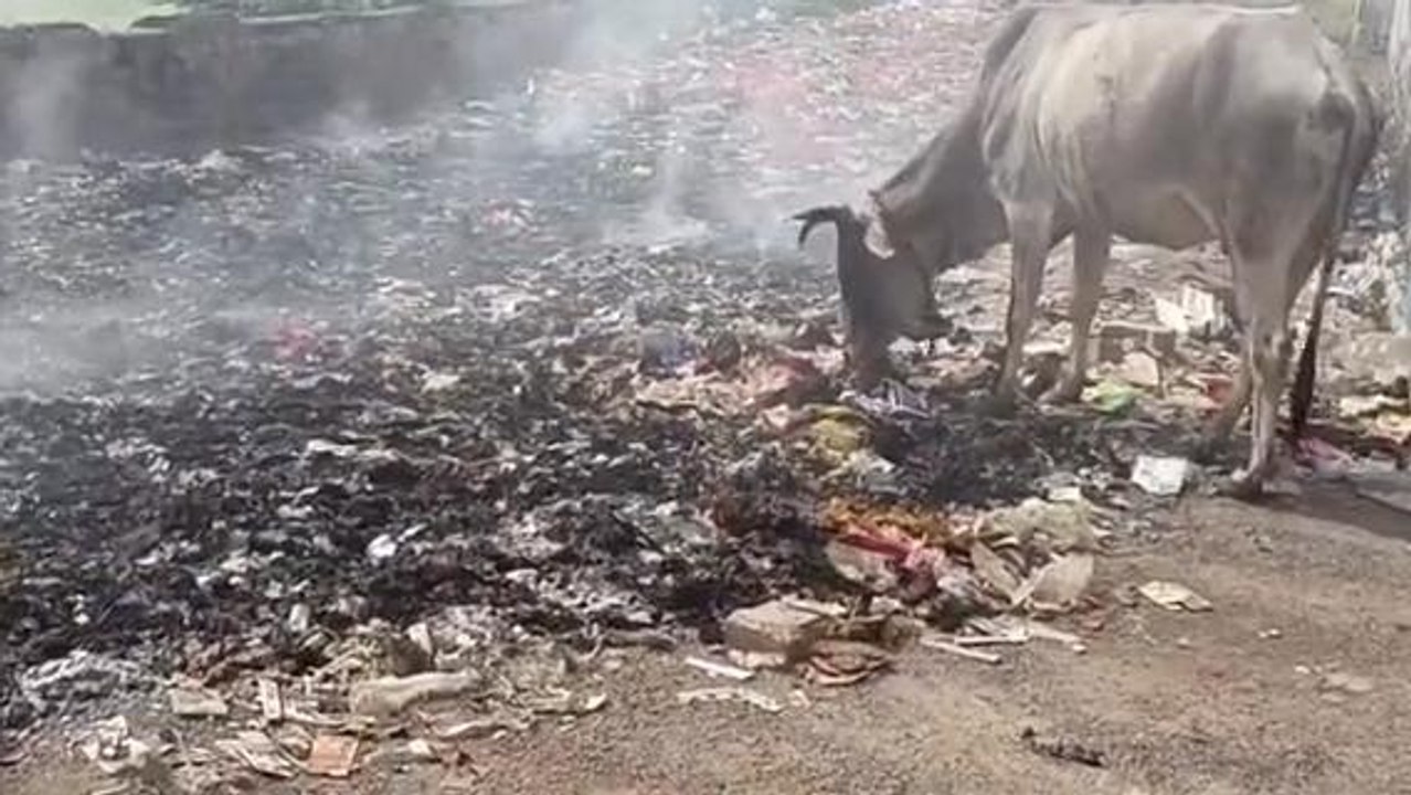 मैहर : सिविल अस्पताल मैहर में जलाया जाता है कचरा