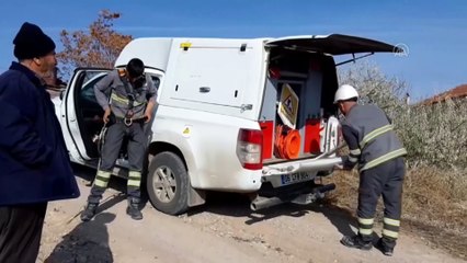 Karga, elektrik direğinde mahsur kaldı