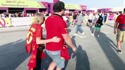 How are soccer fans coping at almost beer-free World Cup?