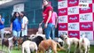 Rhea Chakraborty Joins Drools To Host Food Donation Drive For Abandoned Stray Dogs