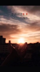 Heart Touching Poetry ✨| Mohsin Naqvi | Naqveez