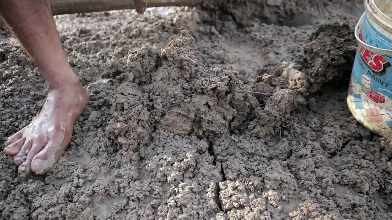 look for beach worms for fishing bait