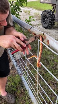 Rescuing a Snake Stuck in a Fence
