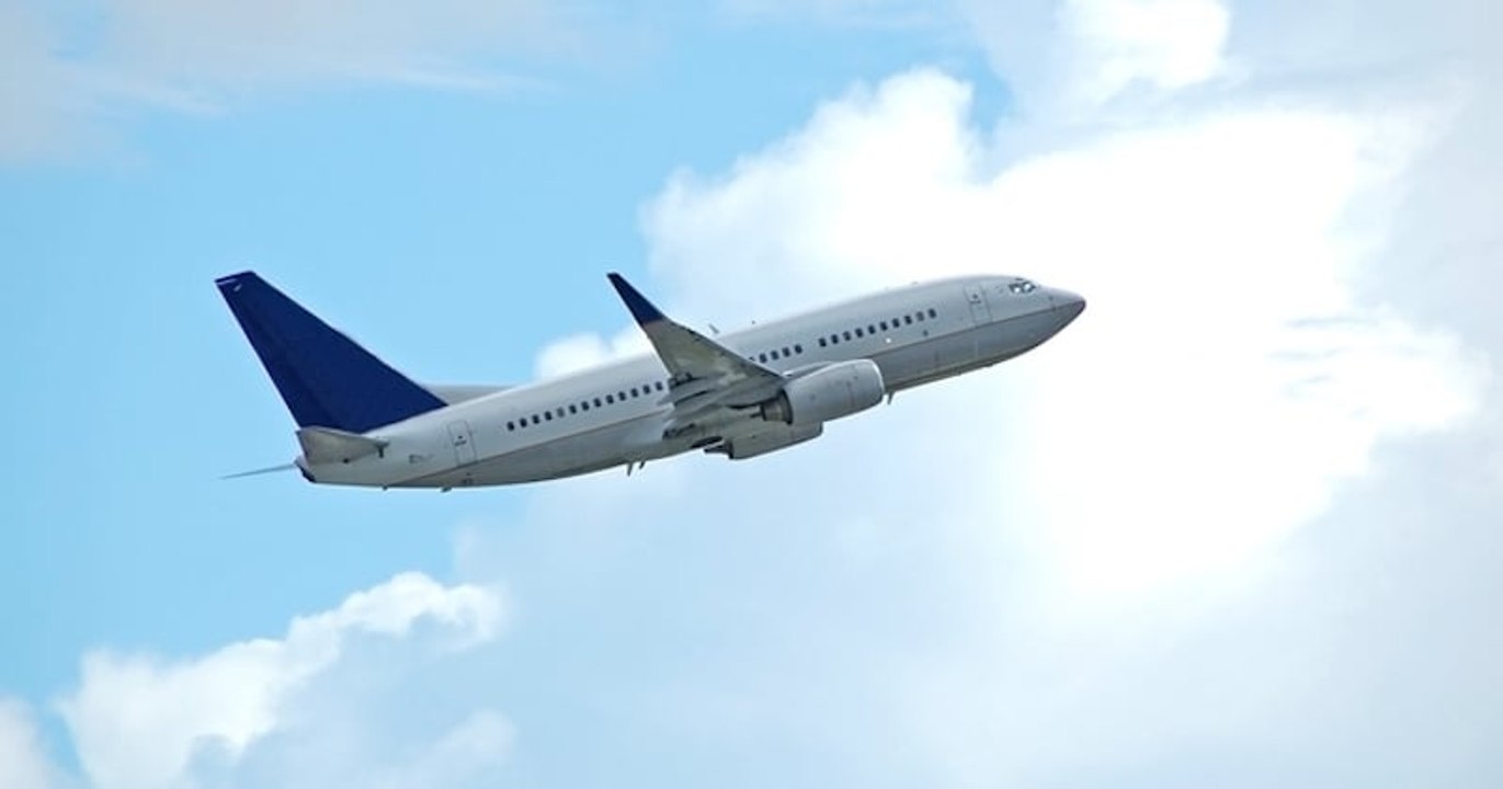 Panique à bord : une passagère américaine tente d'ouvrir la porte de l'avion en plein vol