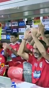 New Cricket Tik Tok Video Cricket Tik Tok Video IPL Tik Tok Video 2022 cricket tik tok