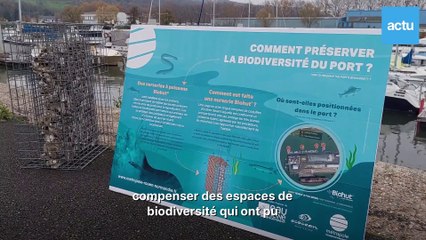 Des "crèches" à poissons dans le port de Rouen