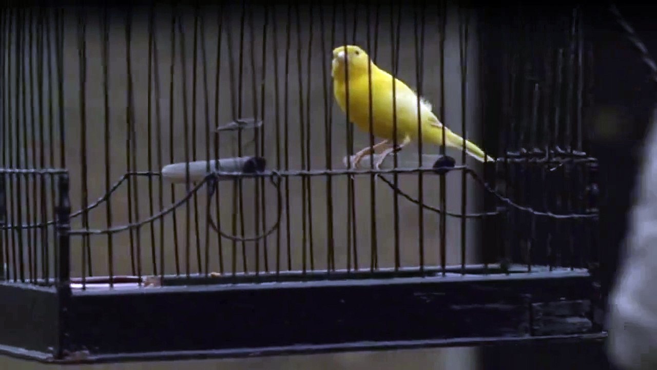 The Halcyon Staffel 1 Folge 5 HD Deutsch