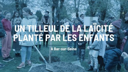 Un tilleul de la laïcité planté par les enfants à Bar-sur-Seine