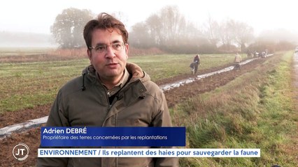 ENVIRONNEMENT / Ils replantent des haies pour sauvegarder la faune