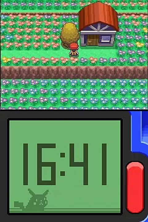 Pokémon Version Diamant online multiplayer - nds