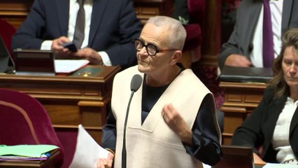 "Madame la ministre, pardonnez-moi, mais on ne va pas vous décrire ce qu’est la ruralité !"