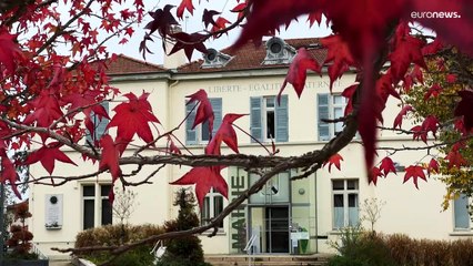 Was ist eigentlich "Ökozid"? Umweltskandal geht in Frankreich vor Gericht