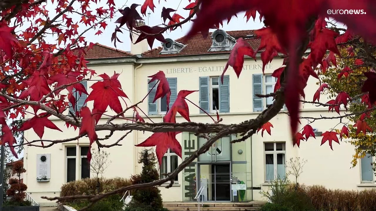 Was ist eigentlich 'Ökozid'? Umweltskandal geht in Frankreich vor Gericht