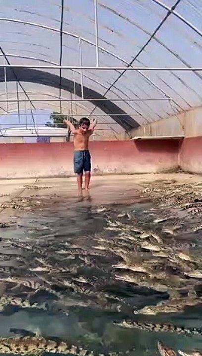 VID_20221127_151809_032