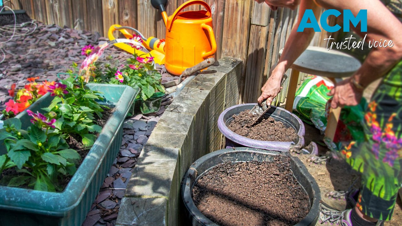 Legionnaires' Disease and safe gardening