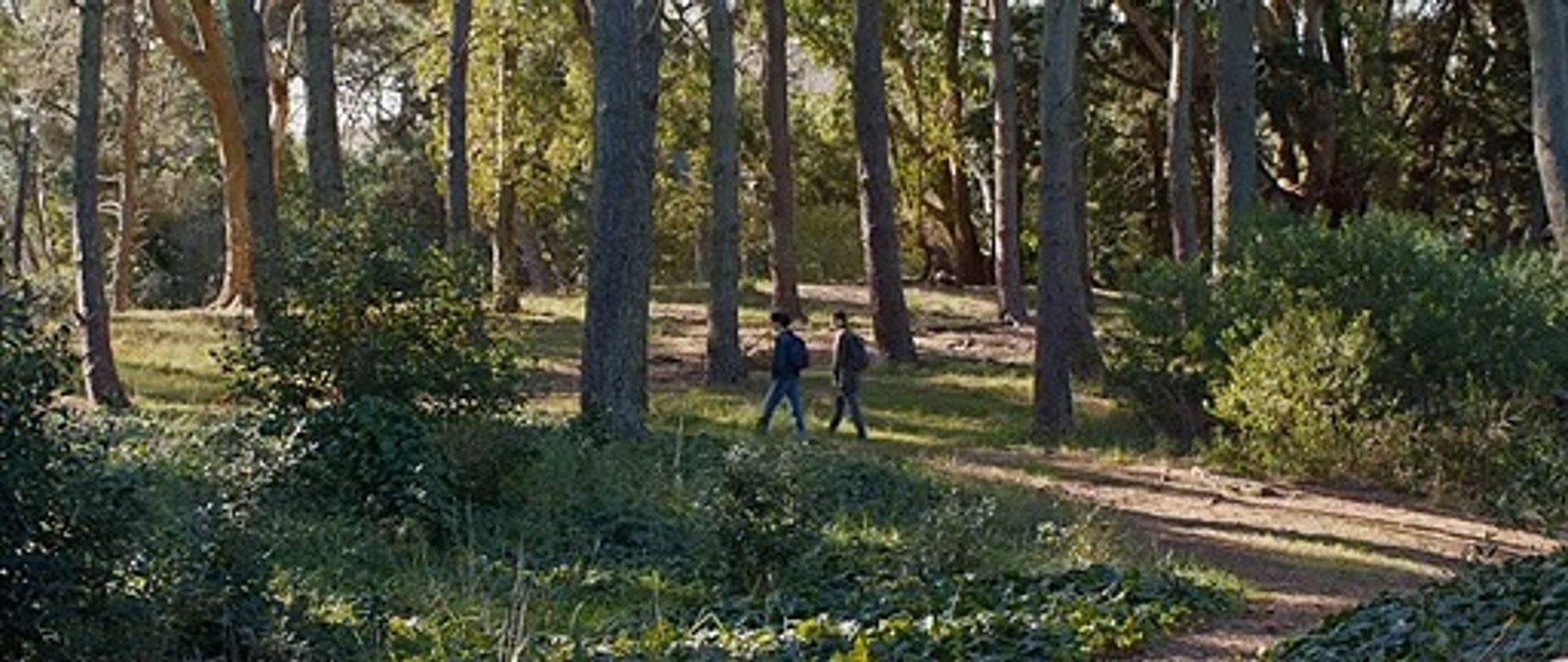 Sublime Bande-annonce (EN)
