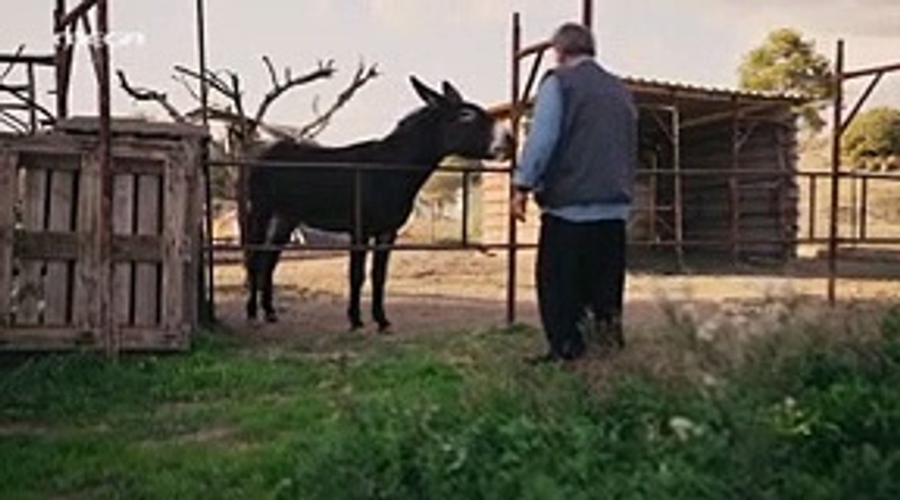 Η Γη της Ελιάς Επεισόδιο 57 part 1/1 part 1/1