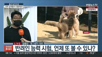 [출근길 인터뷰] 세상에 나쁜 개는 없다…나쁜 주인만 있을 뿐?