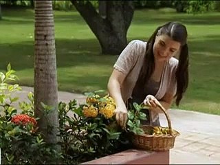 coração indomavel- capitulo 103