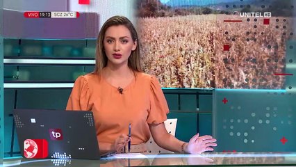 Sequía deja saldo negativo de $us 300 millones en el ciclo productivo de invierno