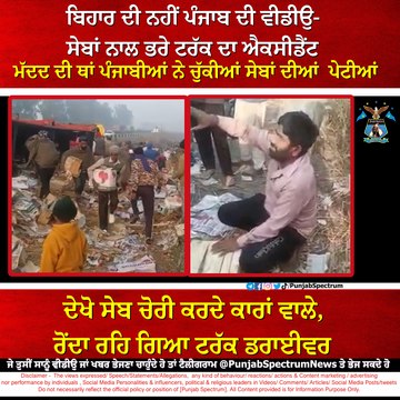 Pathankoat - People stealing apples after truck accident instead of helping truck driver