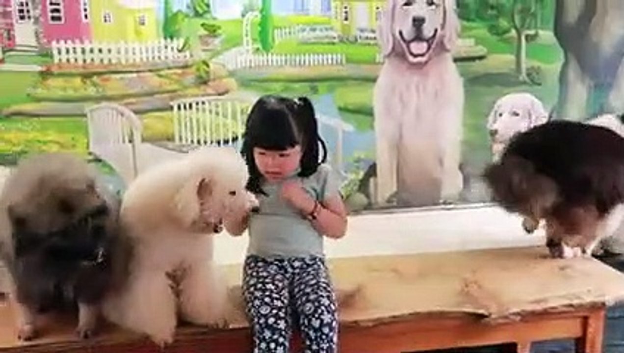 Kasih Makan Anjing Lucu _ Bermain dengan Binatang Lucu _ Heli Guk Guk